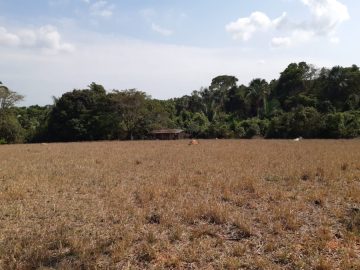 Fazenda a 25 km de Barra do Garças